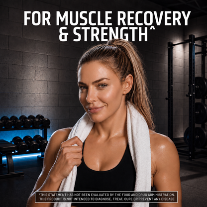 Muscle Code Amino Powder